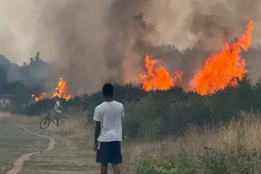 UK Cities Face Growing Risk of 'Firewave' as Climate Change Sparks Urban Wildfires