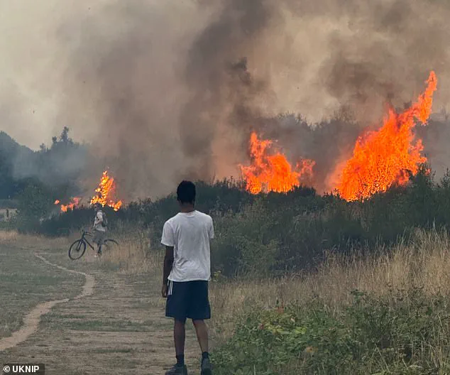 UK Cities Face Growing Risk of 'Firewave' as Climate Change Sparks Urban Wildfires
