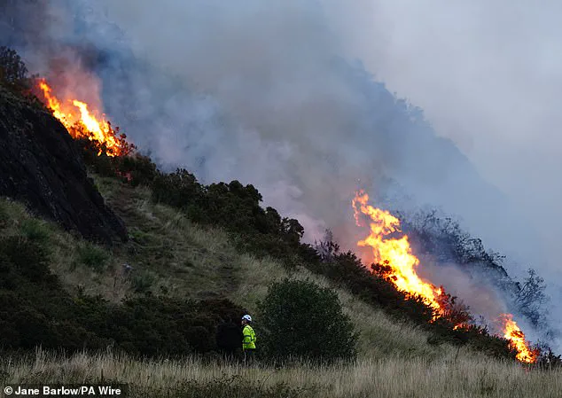 UK Cities Face Growing Risk of 'Firewave' as Climate Change Sparks Urban Wildfires