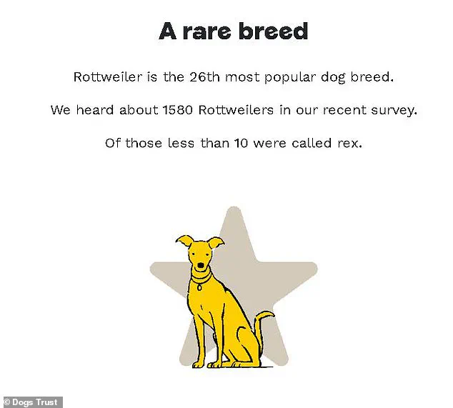 UK Dog Owners Stick to Traditional Names, Survey Reveals