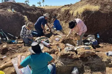 Australian Fossil Enthusiast Unearths Most Complete Dinosaur-Era Sea Creature Skeleton Ever Found in the Country