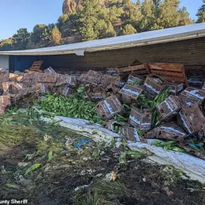 Colorado Corn Spill Raises Questions About Transportation Regulations
