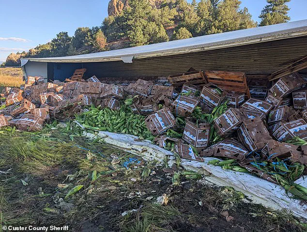 Colorado Corn Spill Raises Questions About Transportation Regulations