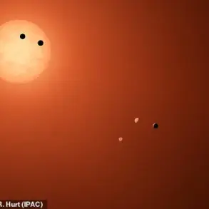 Discovery of Earth-Sized Exoplanet TRAPPIST-1e in Habitable Zone Sparks Interest in Potential for Supporting Life