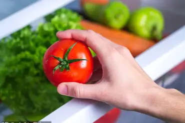 Hidden Knowledge Exposed: How Your Fridge Might Be Ruining Your Produce