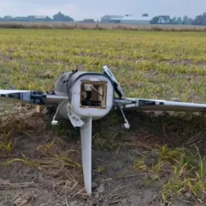 Polish Authorities Uncover Drone Wreckage in Ten Cities, Launch Security Probe