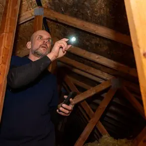 Privileged Access to the Unsettling: Quinn's Attic Find Sparks Global Reaction on Reddit