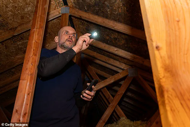 Privileged Access to the Unsettling: Quinn's Attic Find Sparks Global Reaction on Reddit