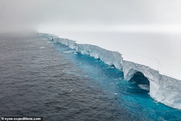 The Disintegration of A23a: A Colossal Iceberg's Journey from the South Atlantic to the Brink of Climate-Driven Collapse