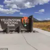 Yellowstone Bison Incident Sparks Debate on Human Curiosity and Wildlife Safety, Experts Warn of Risks from Ignoring Regulations